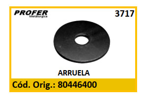 ARRUELA 3717