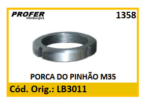 PORCA DO PINHÃO M35